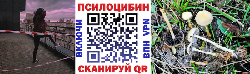Купить  Серов  Псилоцибиновые грибы GOLDEN TEACHER 